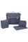 MaxiCosi сумка Modernbag