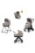 Коляска 3в1 Inglesina ELECTA System Quattro DARWIN