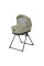 Коляска 3в1 Inglesina ELECTA System Quattro DARWIN