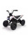 Квадроцикл INJUSA  X-Treme Dirt
