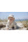 Дитяча панамка Elodie Details Bucket Hat
