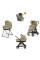 Коляска 3в1 Inglesina ELECTA QUATTRO DARWIN RECLINE