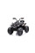 Дитячий квадроцикл LEANToys Madman JS009