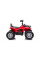 Дитячий квадроцикл LEANToys Madman JS009