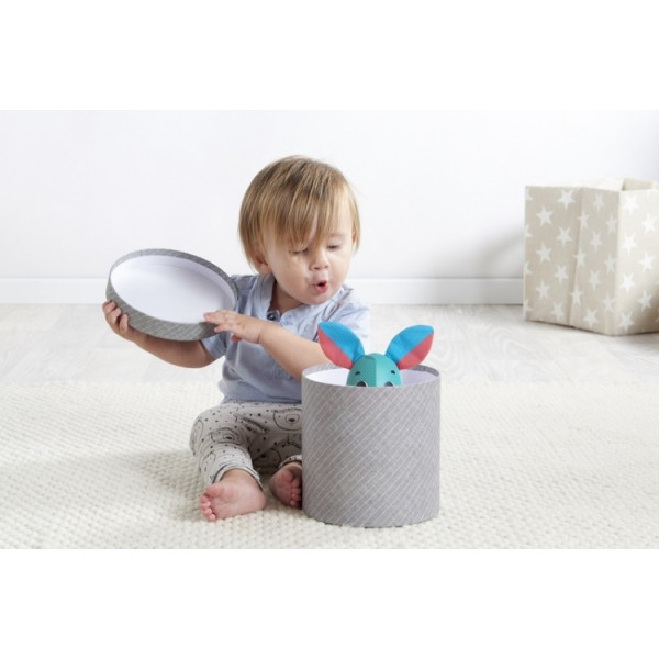 Розвиваюча іграшка Tiny Love Wonder Buddies
