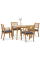 Набір садових меблів HAGEN DINING стіл + 4 крісла