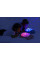 Ночник с проектором Cloud b Twinkling Twilight Turtle