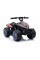 Дитячий квадроцикл LEANToys TR1805