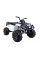 Дитячий квадроцикл LEANToys BDM 0909
