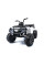 Дитячий квадроцикл LEANToys BDM 0909