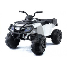Дитячий квадроцикл LEANToys BDM 0909