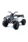 Дитячий квадроцикл LEANToys BDM 0909