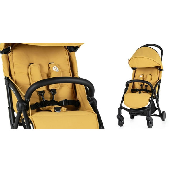 Прогулянкова коляска Petite and Mars Up