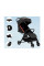 Прогулянкова коляска RoyalBaby 704A Black