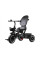 Дитячий трьохколісний велосипед Tiny Bike 3в1 SP0650 Grey