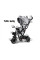Дитячий трьохколісний велосипед Tiny Bike 3в1 SP0650 Grey