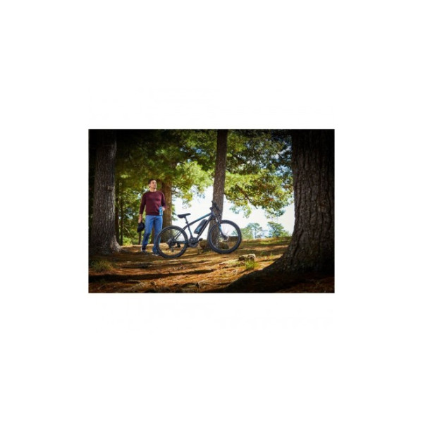 Електричний велосипед Huffy Transic+ 26" E4880WP