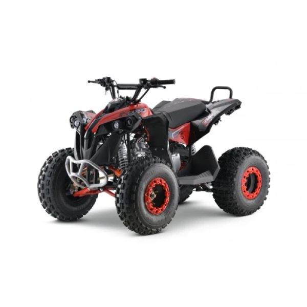 Детский квадроцикл на горючее Ramiz RENEGADE HighPer 125CC