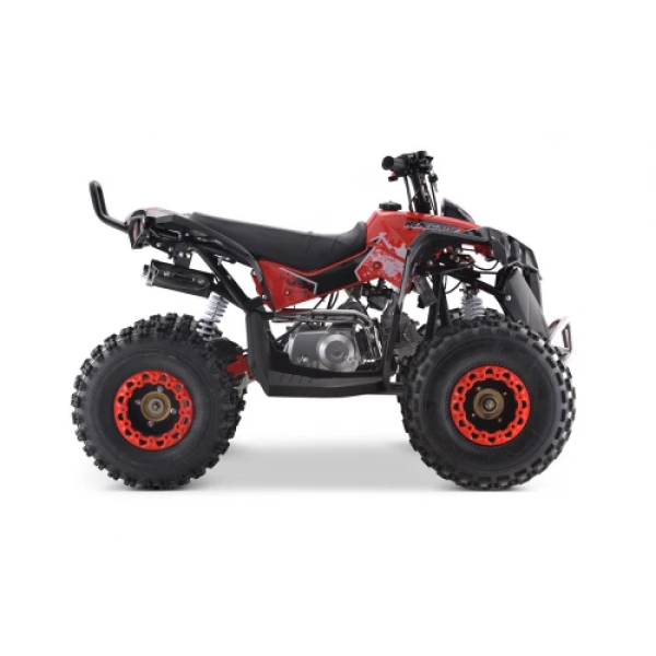 Детский квадроцикл на горючее Ramiz RENEGADE HighPer 125CC