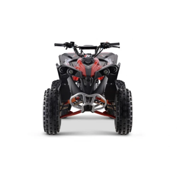 Детский квадроцикл на горючее Ramiz RENEGADE HighPer 125CC