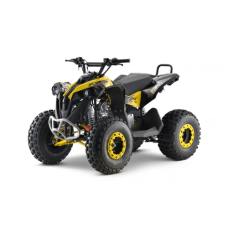 Детский квадроцикл на горючее Ramiz RENEGADE HighPer 125CC