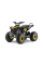 Детский квадроцикл на горючее Ramiz RENEGADE HighPer 125CC