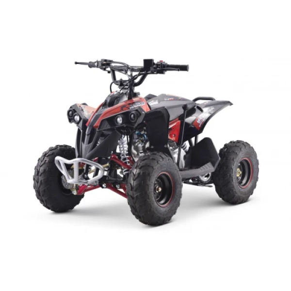 Детский квадроцикл на горючее Ramiz RENEGADE HighPer 110CC