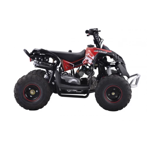 Детский квадроцикл на горючее Ramiz RENEGADE HighPer 110CC