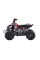Детский квадроцикл на горючее Ramiz RENEGADE HighPer 110CC