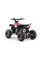 Детский квадроцикл на горючее Ramiz RENEGADE HighPer 110CC