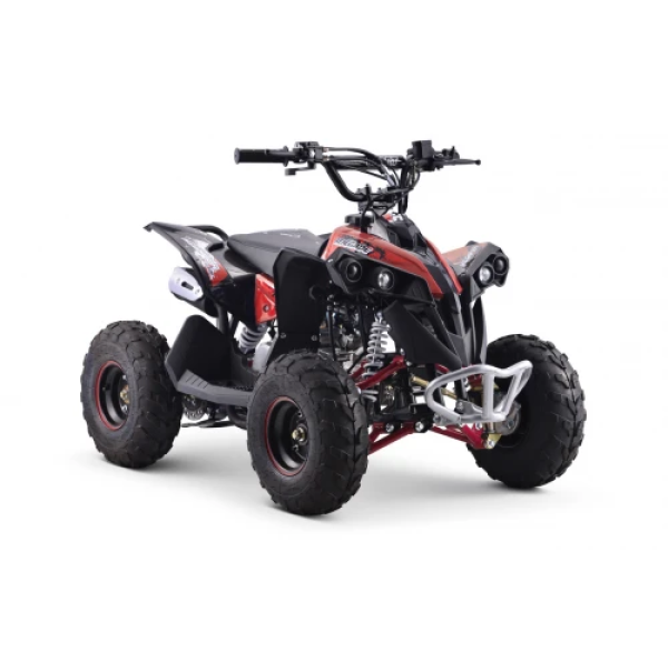 Детский квадроцикл на горючее Ramiz RENEGADE HighPer 110CC