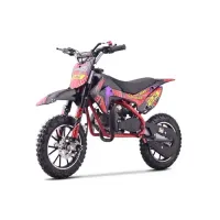 Дитячий байк на пальне Ramiz RENEGADE 50R