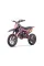 Дитячий байк на пальне Ramiz RENEGADE 50R