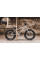 Дитячий велосипед Early Rider MOUNTAIN BIKES Seeker X16"