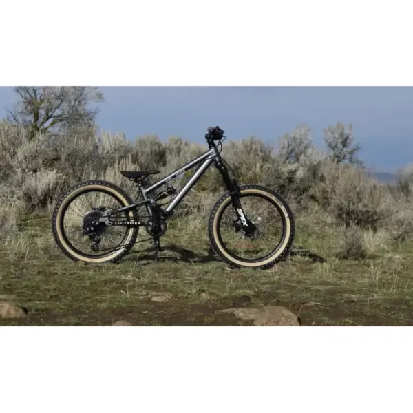 Дитячий велосипед Early Rider MOUNTAIN BIKES Hellion X20"