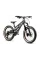 Дитячий велосипед Early Rider MOUNTAIN BIKES Hellion X20"