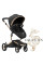 Коляска 2в1 MIMA XARI MAX Limited ALL IN ONE DRAGON