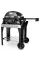 Электрический садовый гриль WEBER PULSE 2000