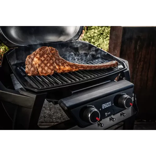 Электрический садовый гриль WEBER PULSE 2000