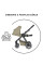 Коляска 2в1 Petite and Mars Icon  AIR
