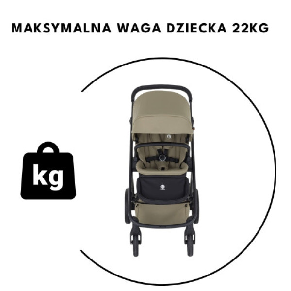 Коляска 2в1 Petite and Mars Icon  AIR