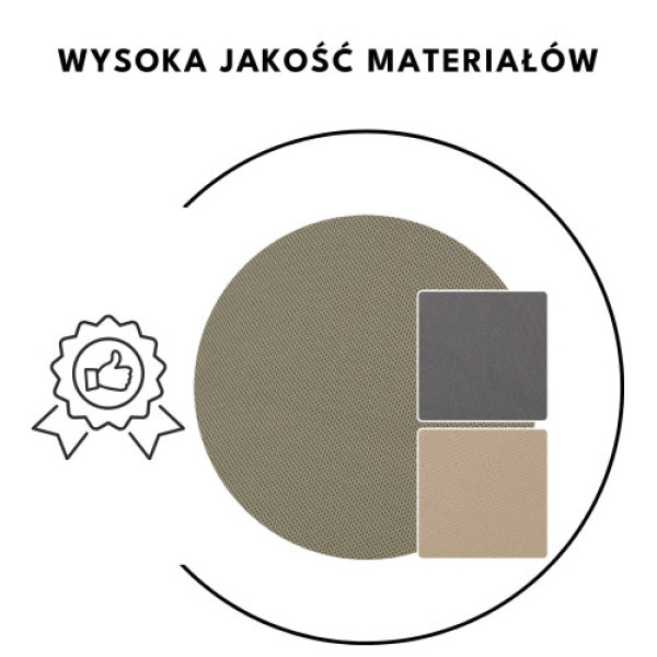 Коляска 2в1 Petite and Mars Icon RWS