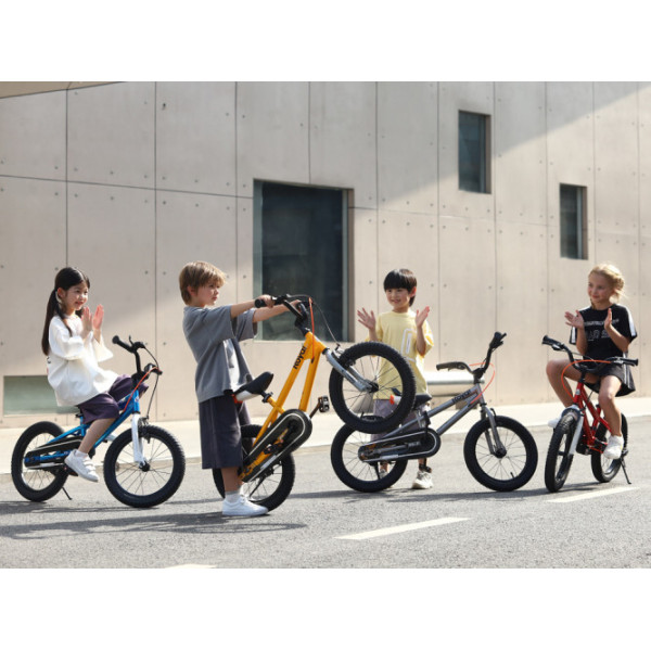 Дитячий велосипед RoyalBaby Freestyle 7.0 Perfect 18'' RB18B-6
