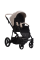 Коляска 2в1 Bebetto Loren Premium Class Gloss