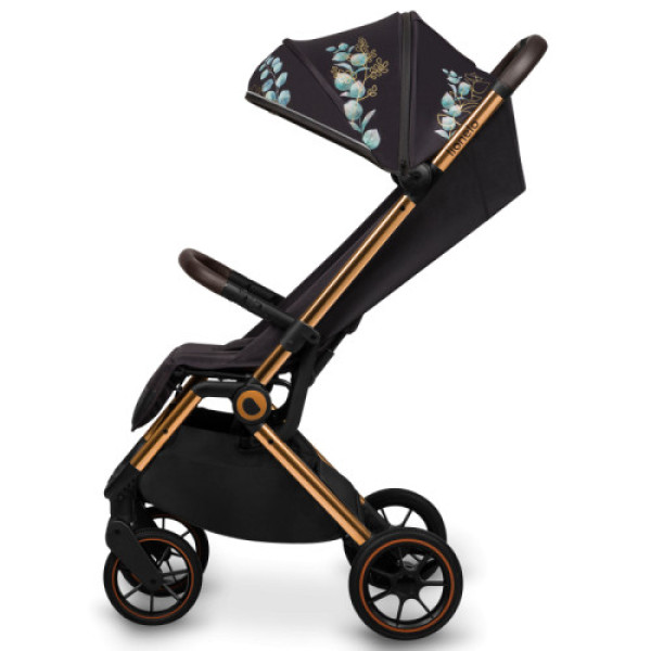 Прогулянкова коляска Lionelo Cloe