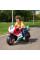 Электробайк Feber Ducati 12V FEN09000