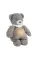 Плюшевая сенсорная игрушка NATTOU Sleepy Bear 4в1