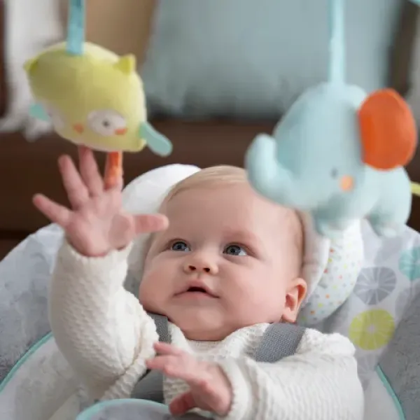 Кресло - качели INGENUITY Swingn Go Hugs & Hoots