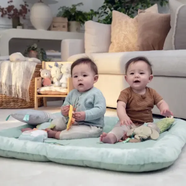 Розвиваючий килимок INGENUITY Calm Springs Chic Boutique