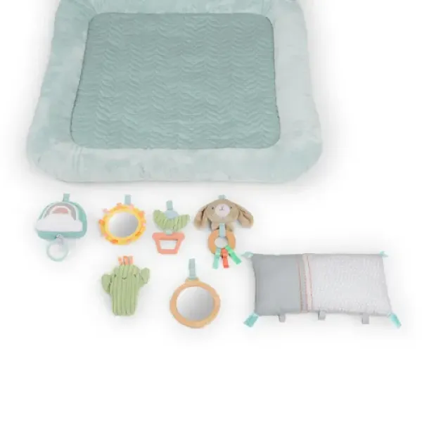 Розвиваючий килимок INGENUITY Calm Springs Chic Boutique